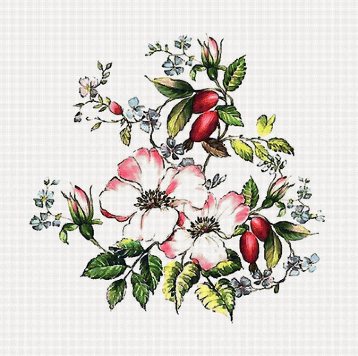 Шиповник без фона