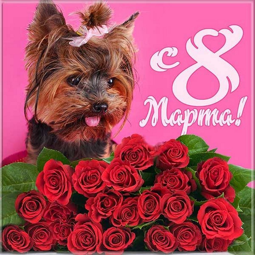 Поздравление с 8 марта