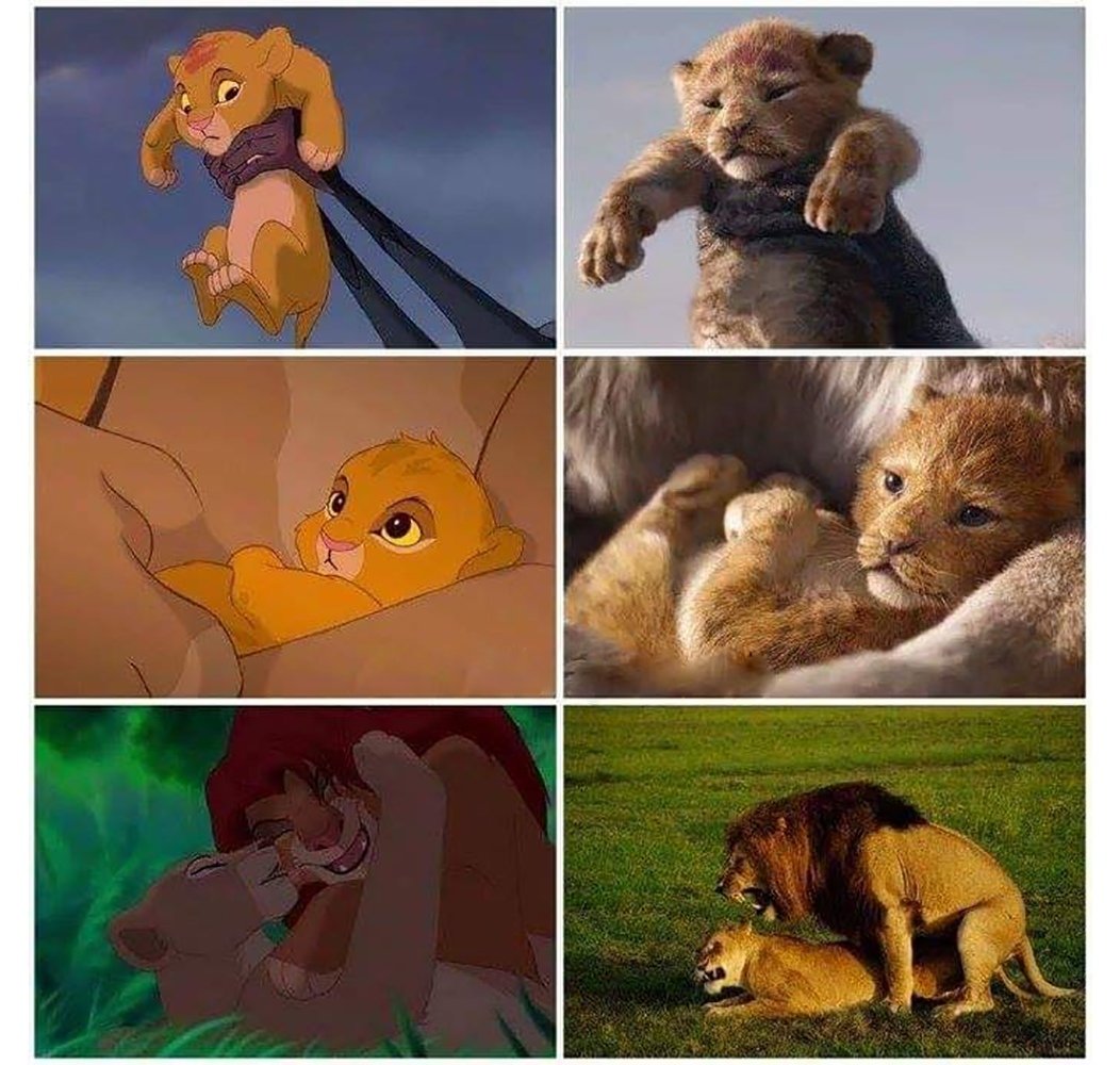 Муфаса Король Лев в реальной жизни