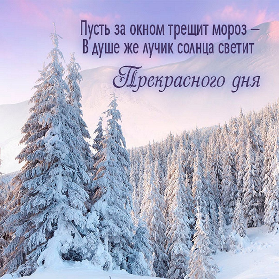 Новогодние наборы печенья
