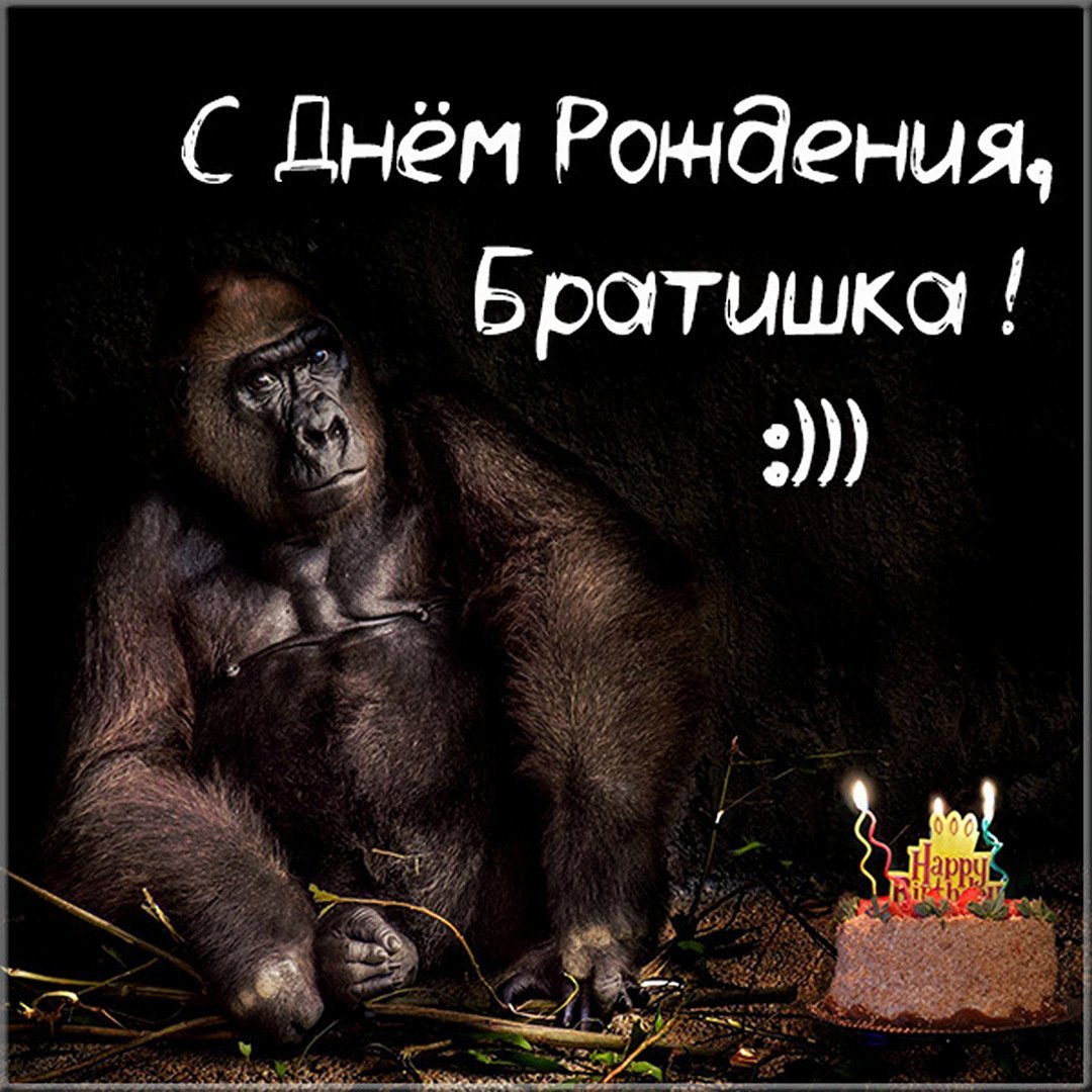 Прикольные поздравления с днем рождения