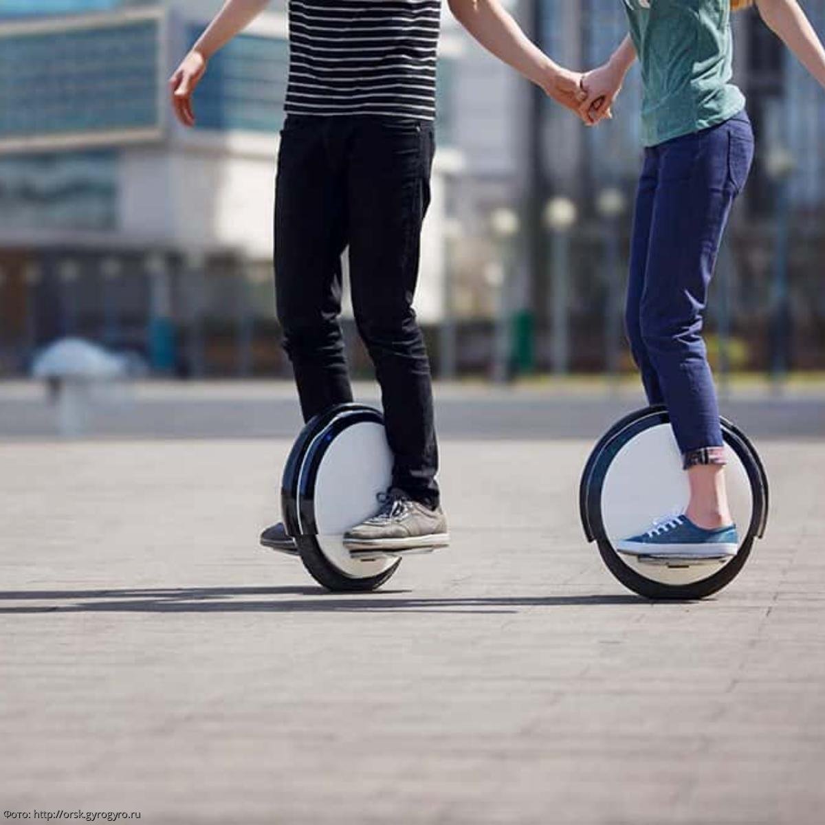 Моноцикл Нельсон