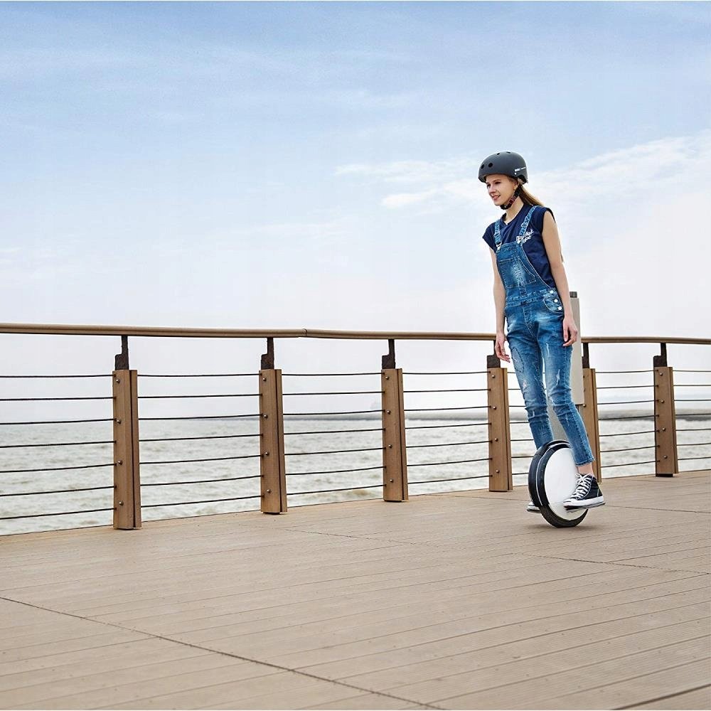 Моноколесо Ninebot s2