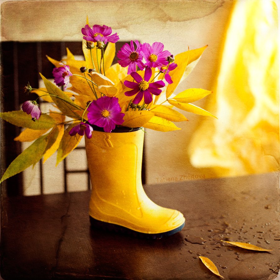 Валенки на снегу