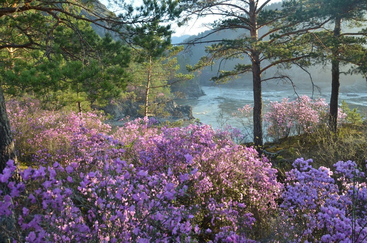 Озеро Леприндо Забайкальский край