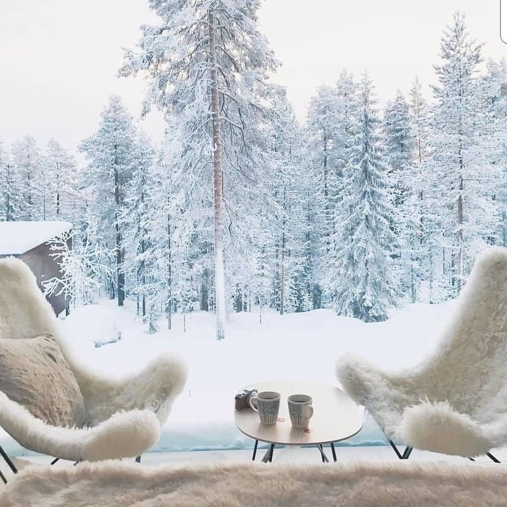 Прекрасные мгновения зимы