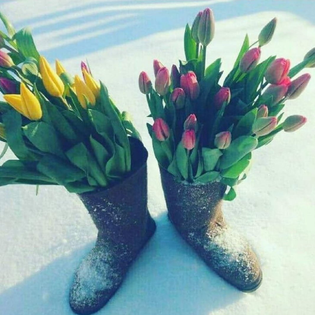 Красивая девушка в валенках