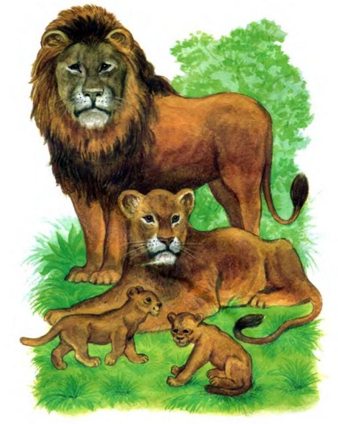 Для детей. Животные