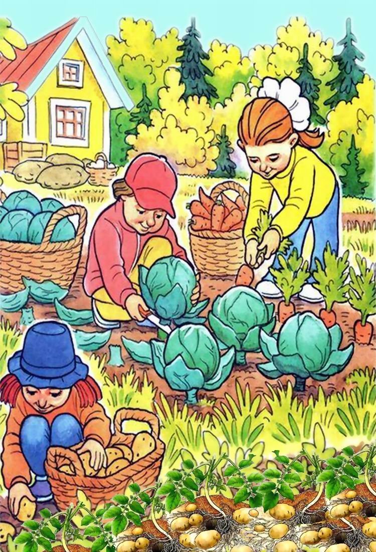 Огород с овощами для детей