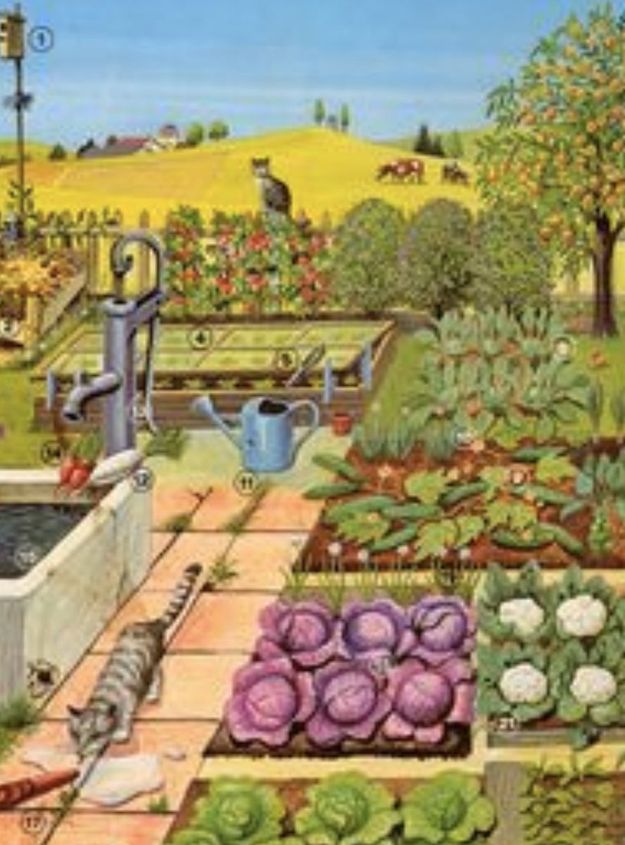 Огород с грядками для детей