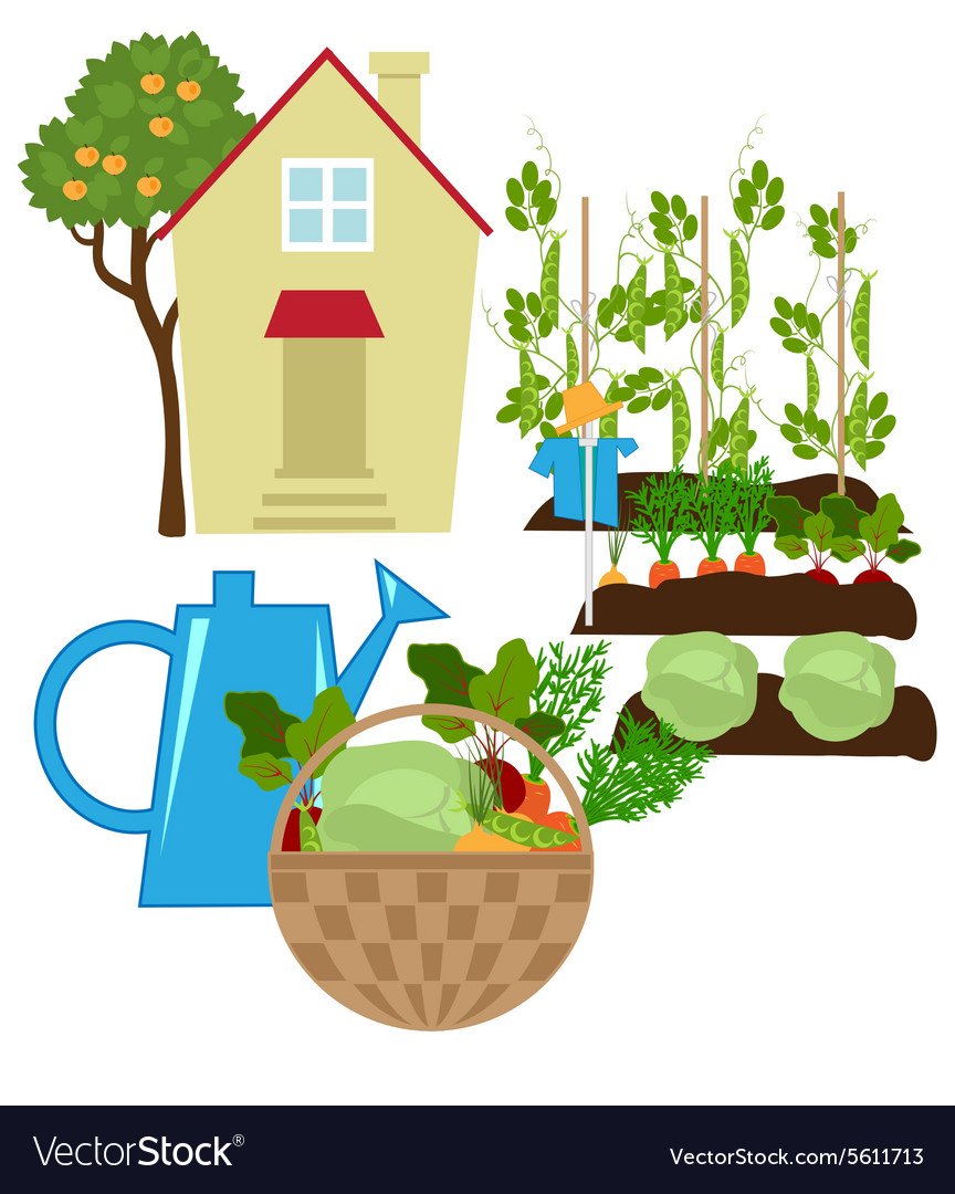 Уборка урожая в саду