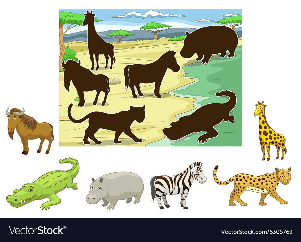 Теневое лото животные Африки