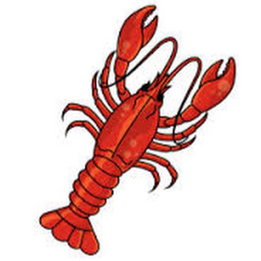 Рачки картинки для детей