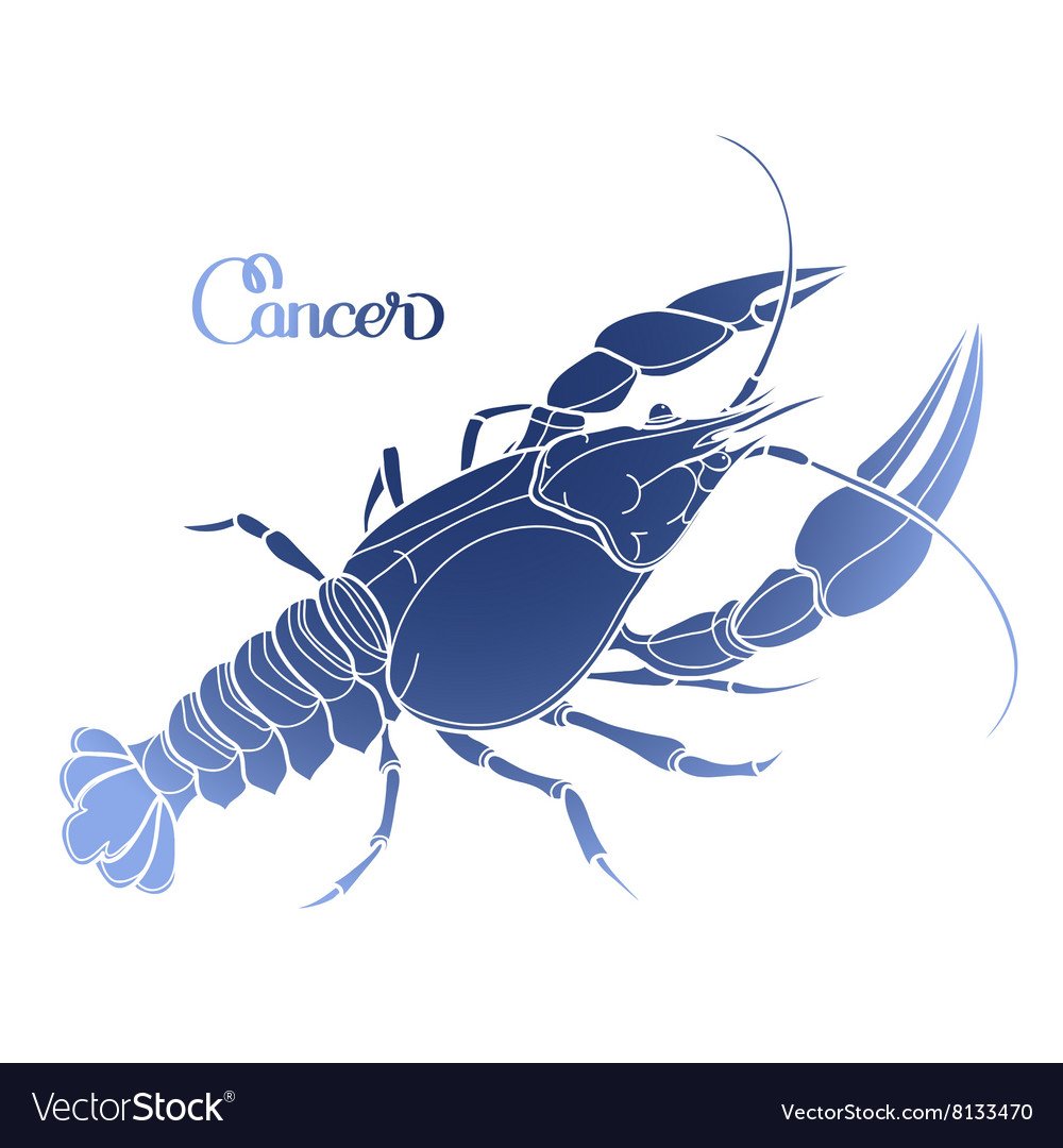 Лобстер на белом фоне