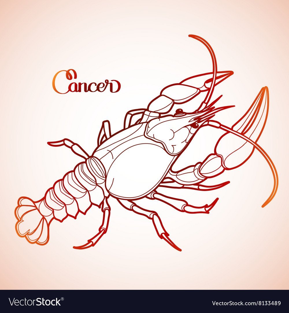 Зарисуйте раковые