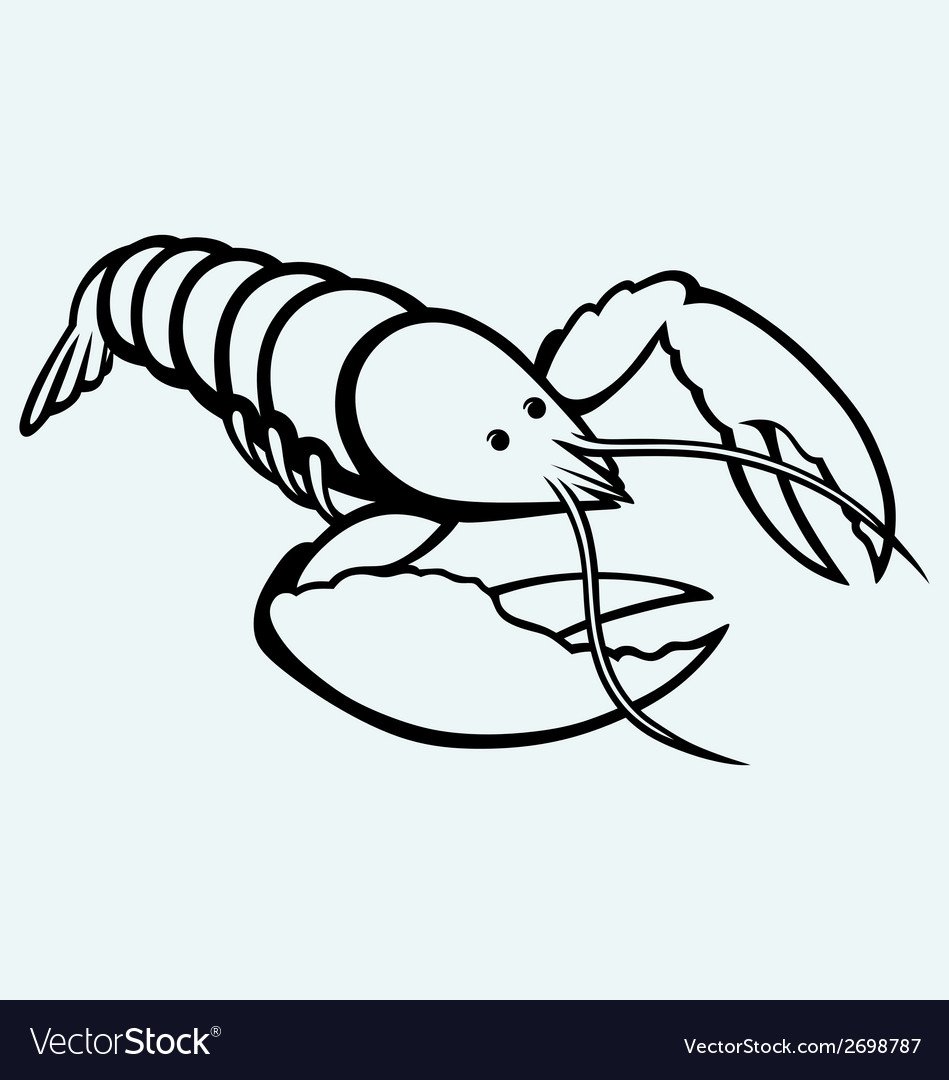 Маленькие рачки рисунок