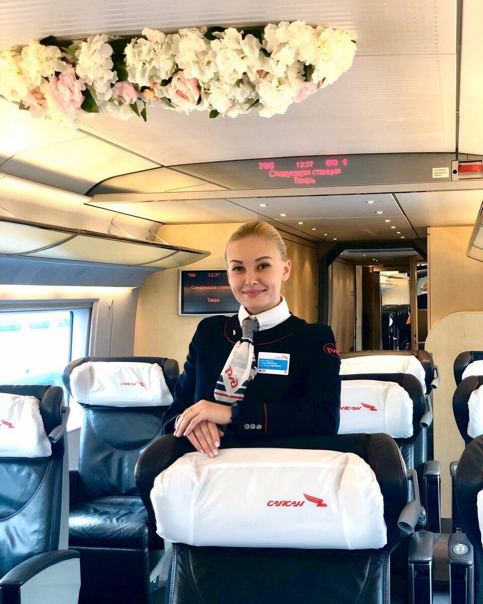 Скоростной поезд едет