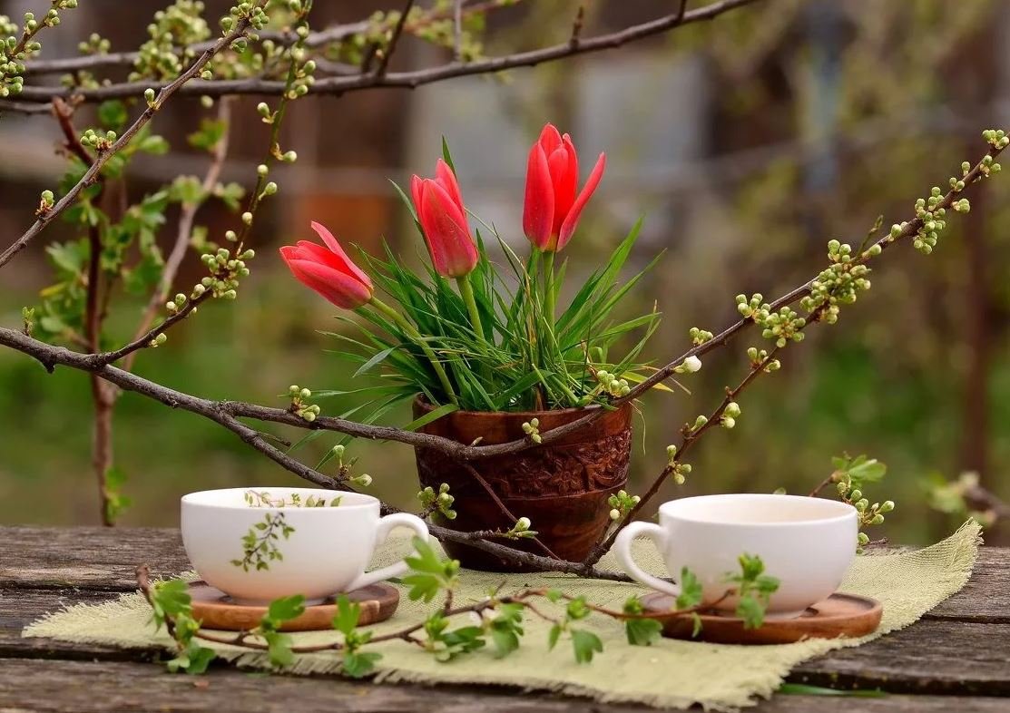 С добрым весенним утром