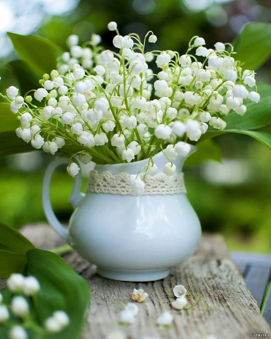 Доброе утро ромашки