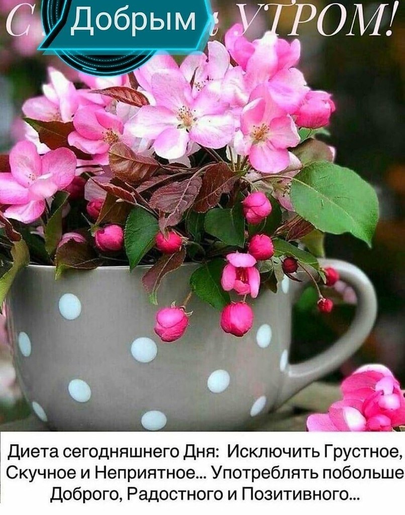 Доброе Весеннее утро