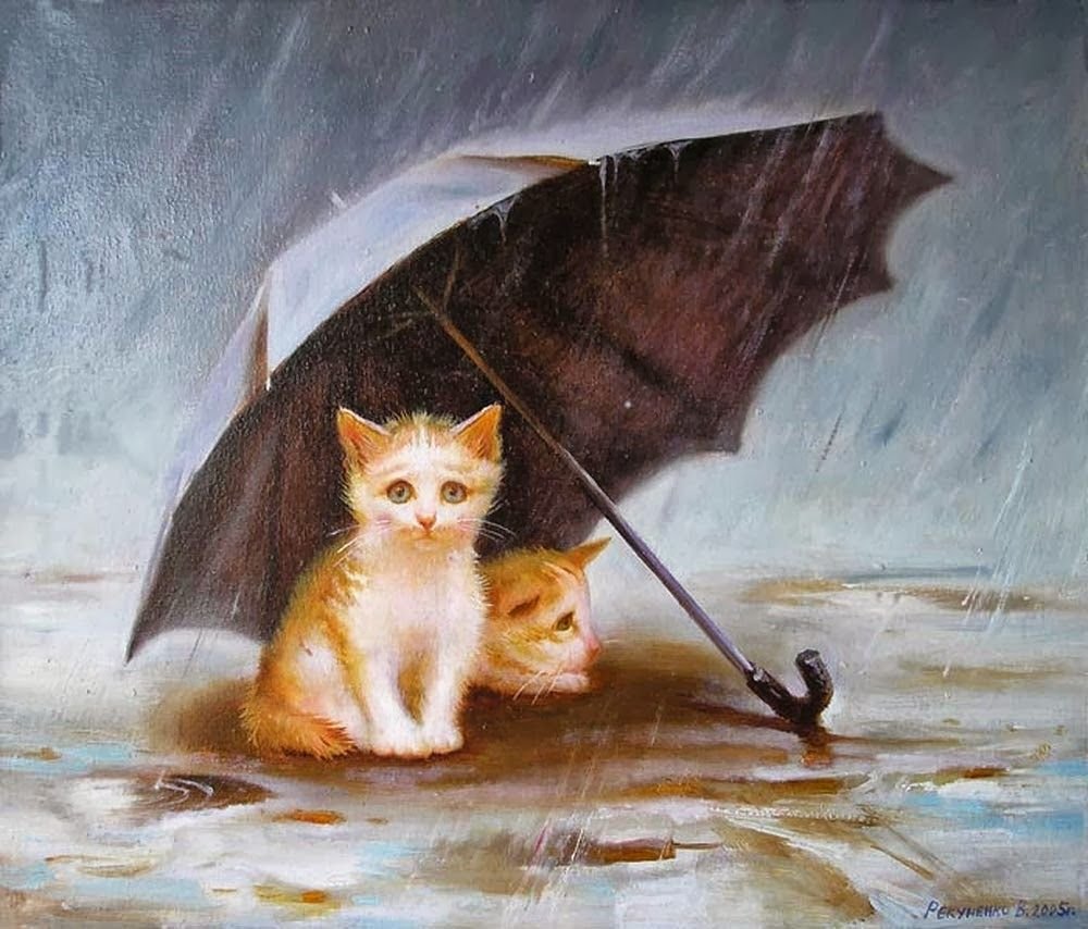 Кот осень дождь