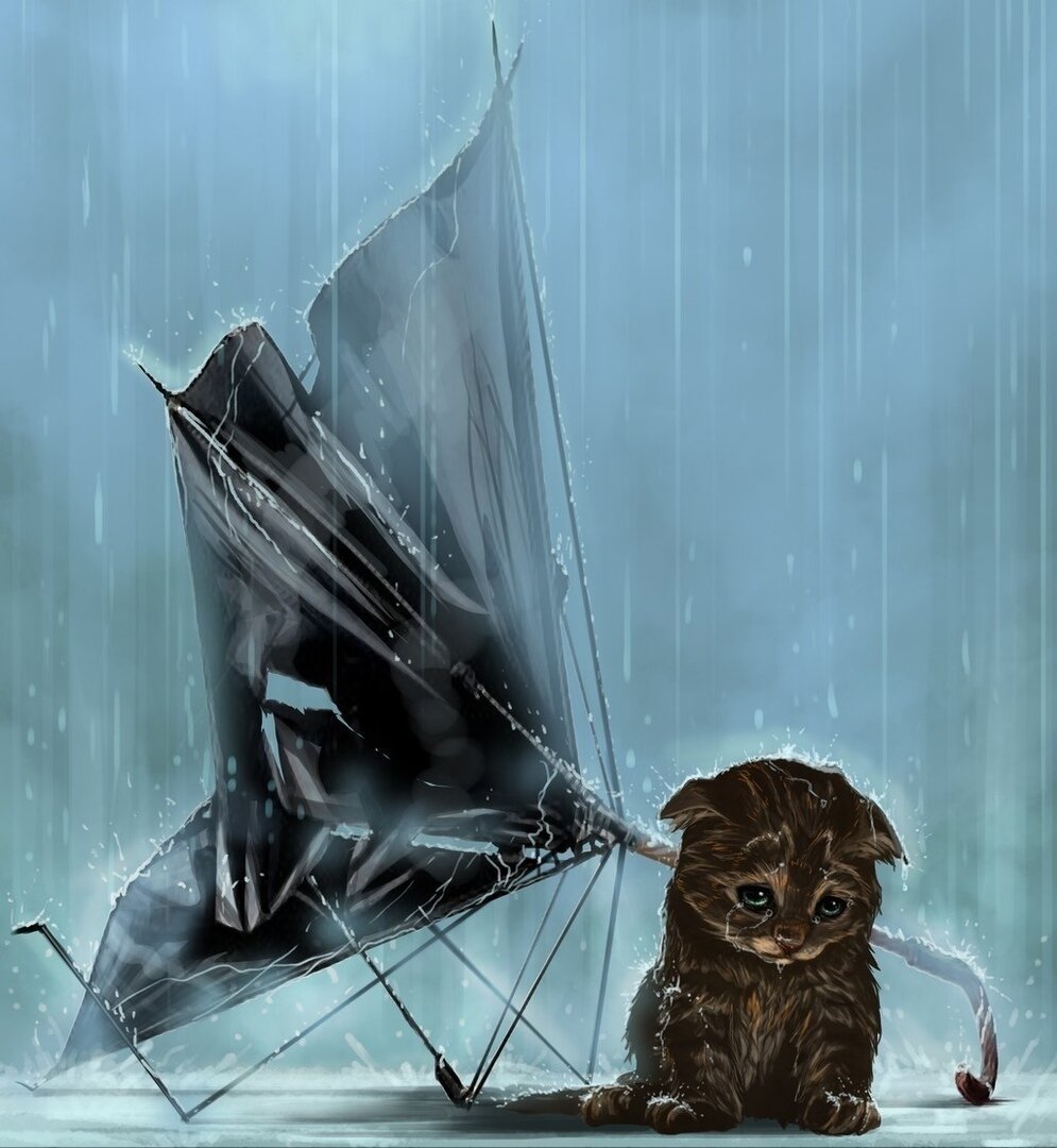 Кот под дождем