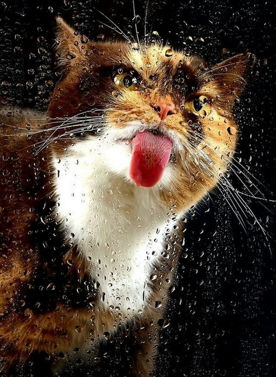 Девушка держит зонтик