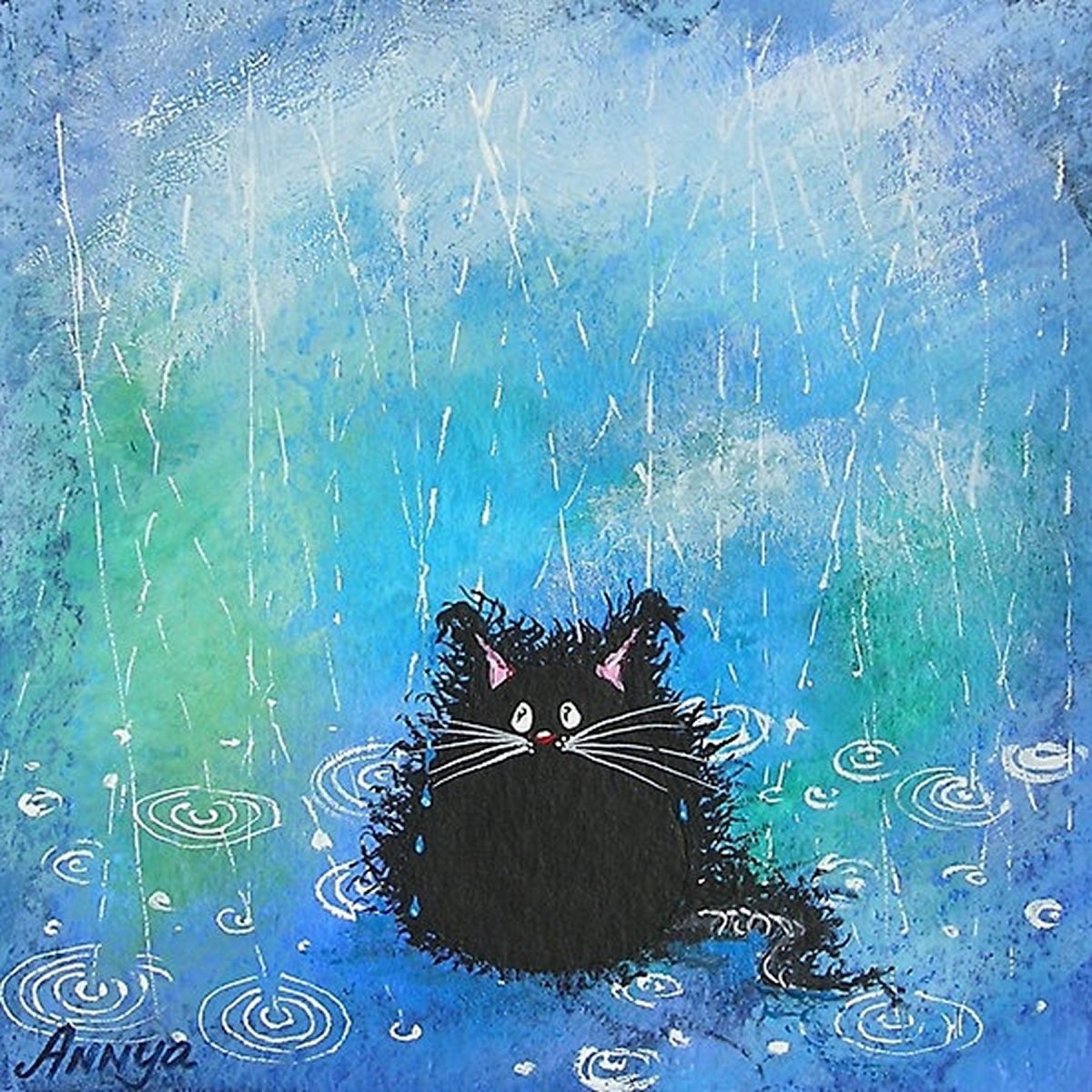 Грустный кот под дождем