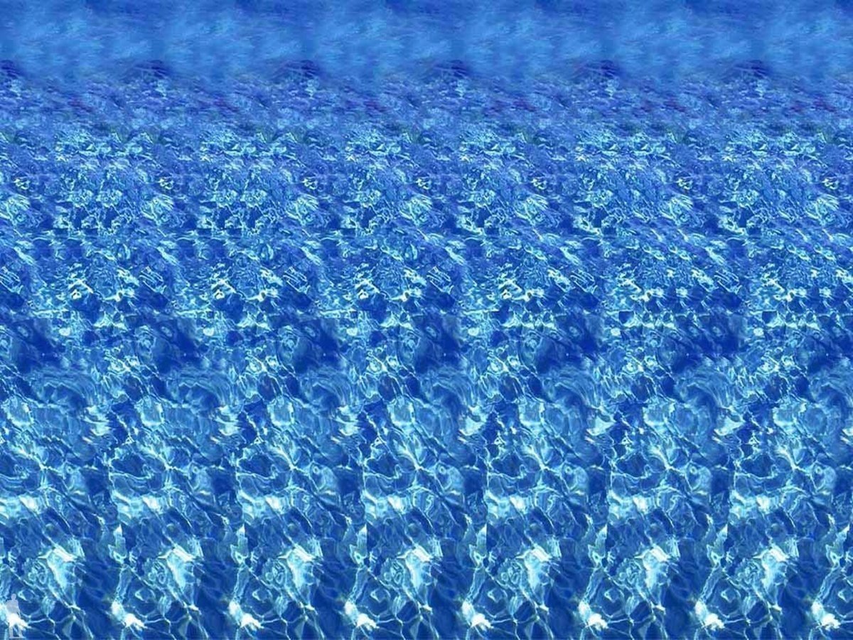 Стереограмма Дельфин