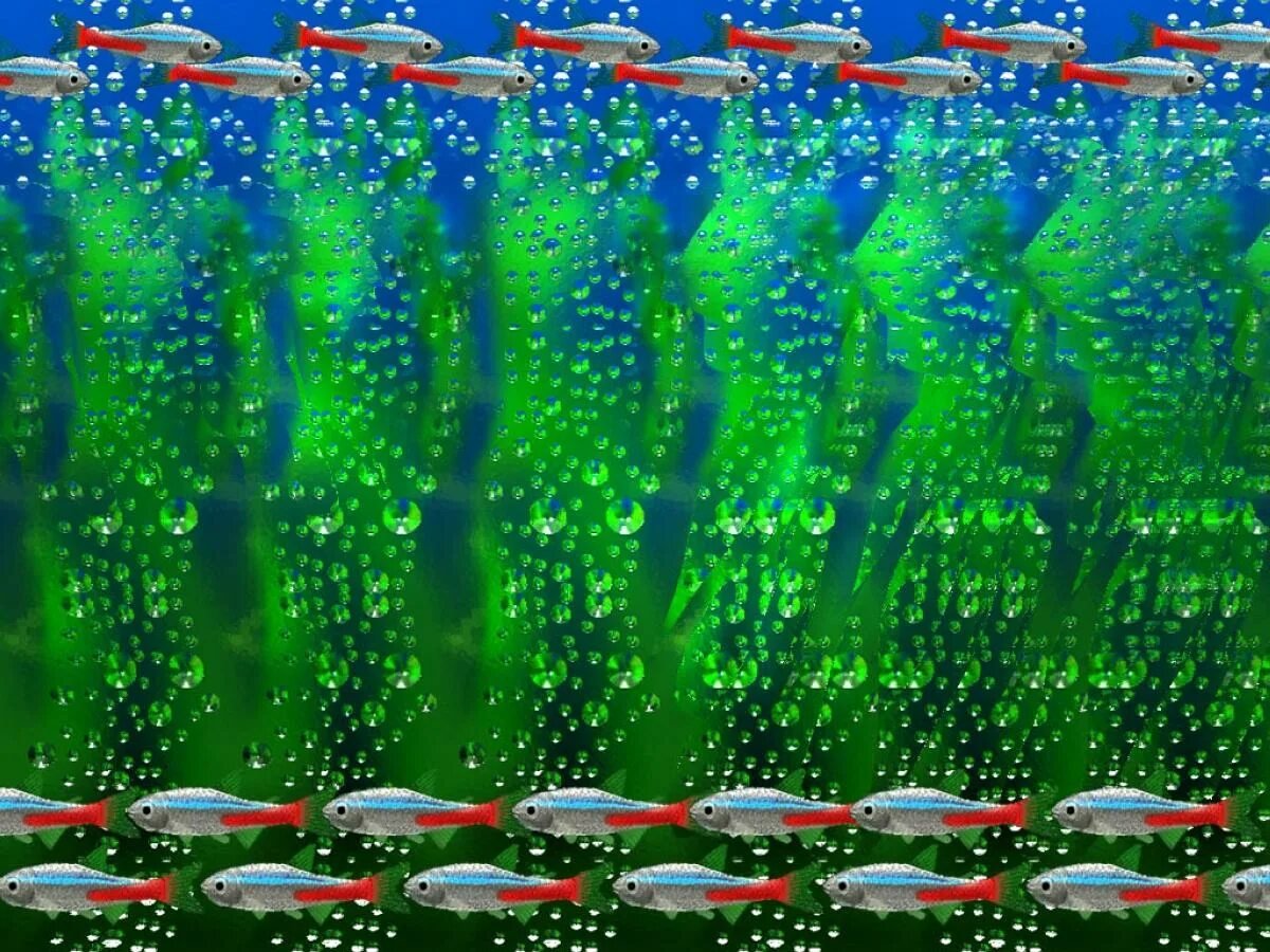 Стереограммы Хидден 3д