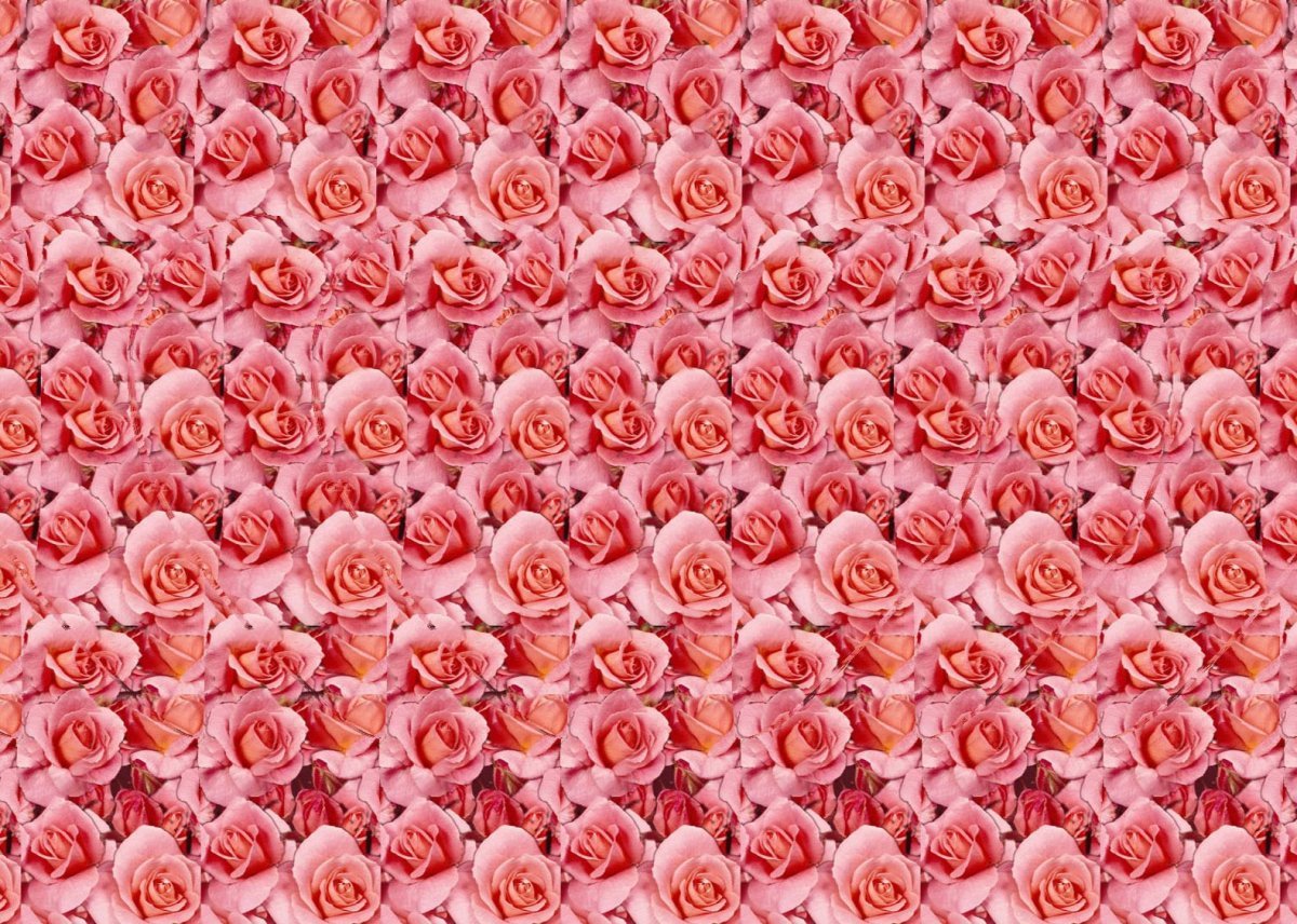 Стереограммы цветы