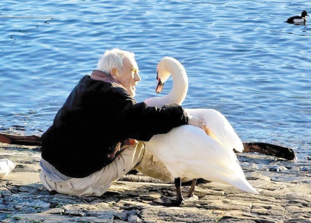 Доброта мотиваторы