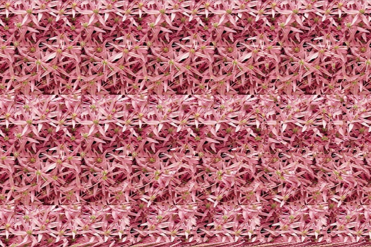 Фантомашки фантомашки фантомашки