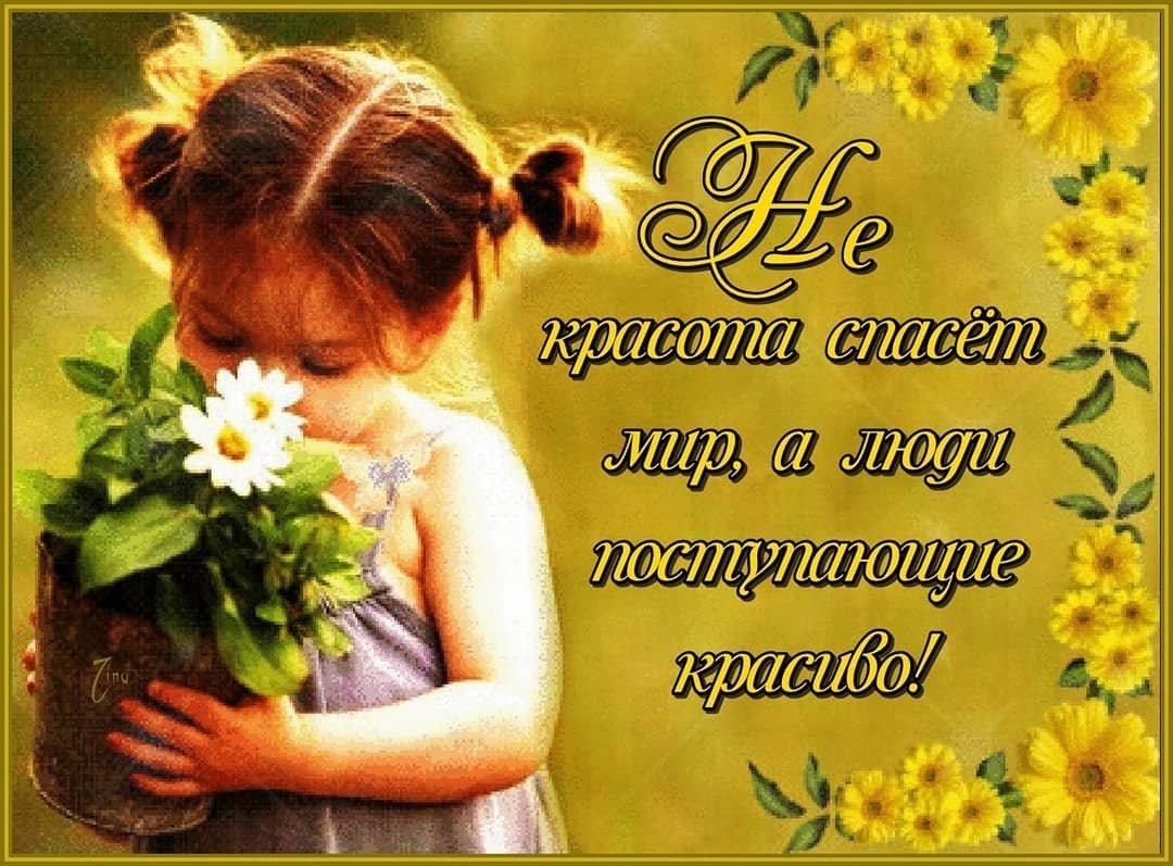 Красота спасет мир