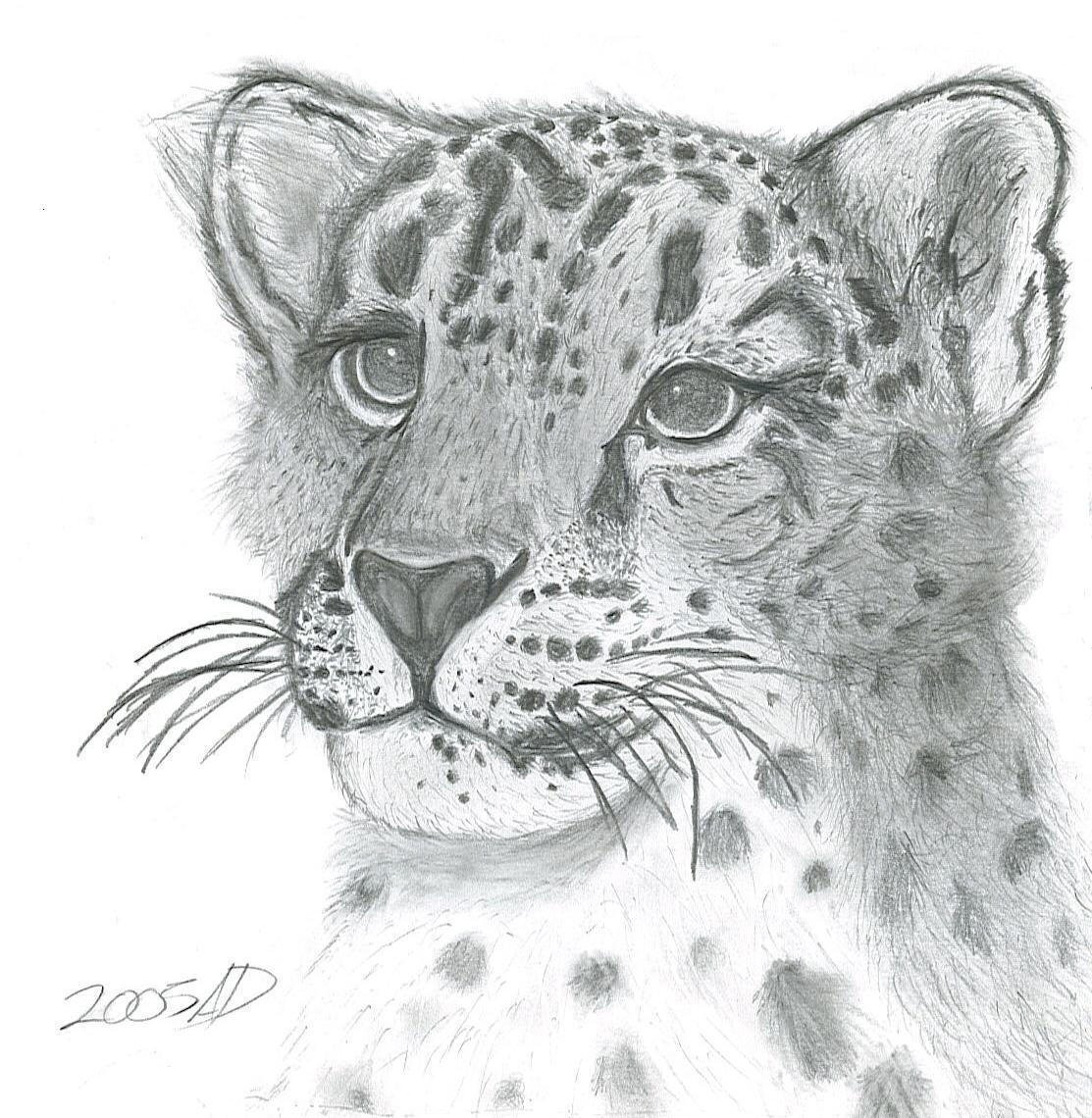 Рисунки карандашом