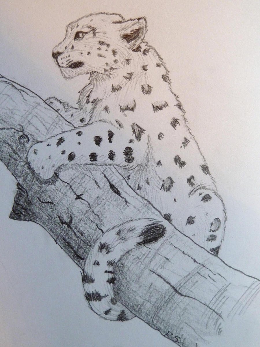 Снежный Барс мультяшный