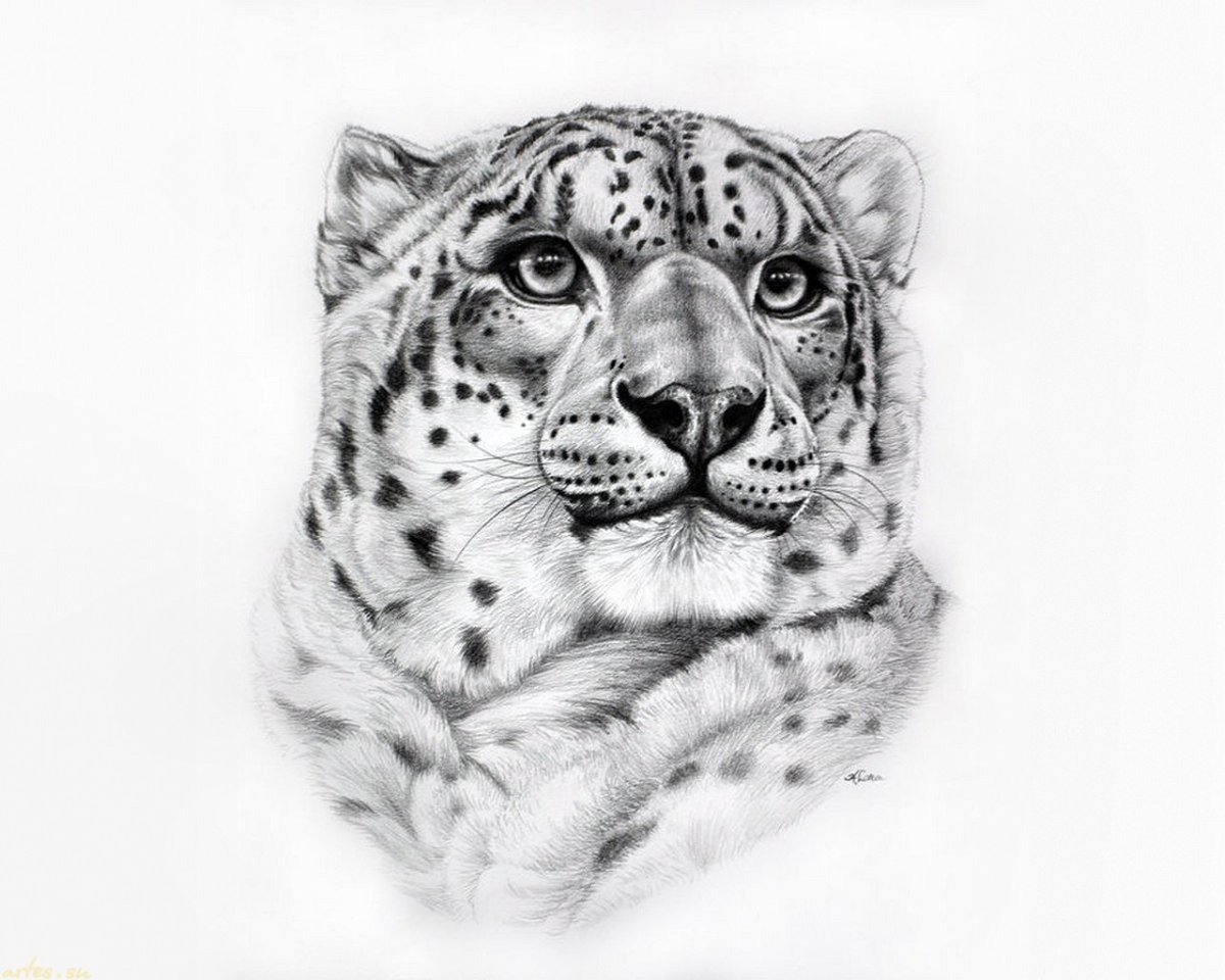 Тату снежный Барс эскизы