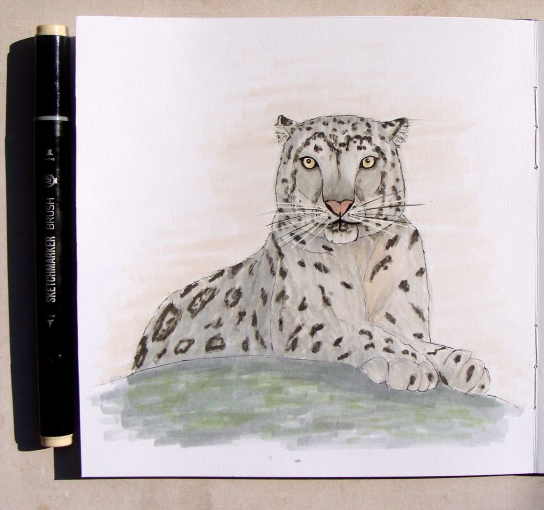 Снежный Барс Ирбис рисунок