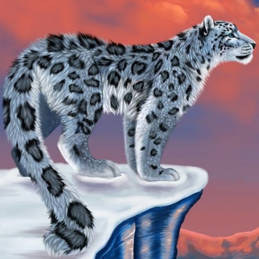 Леопард рисунок карандашом