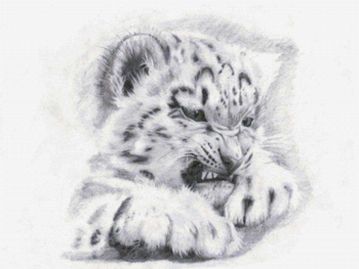 Ирбис снежный Барс срисовки