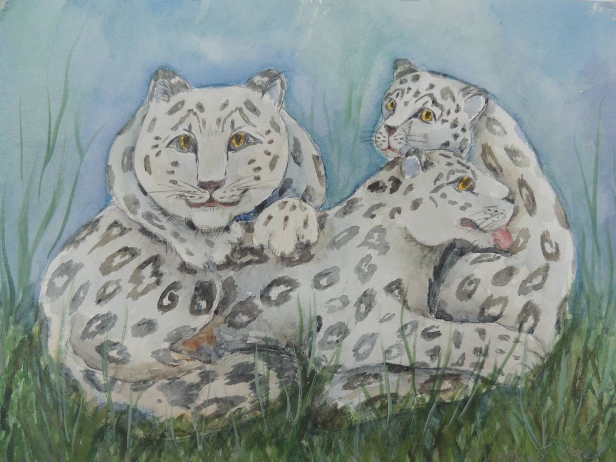 Барс рисунок карандашом для начинающих