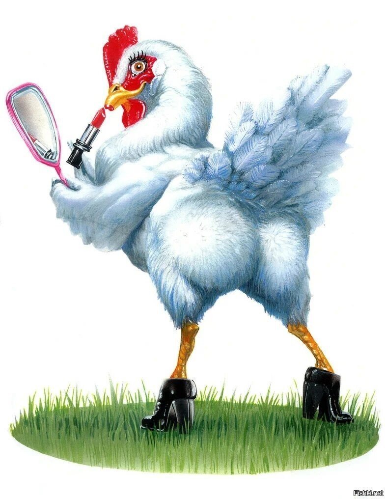 Промокшая курица