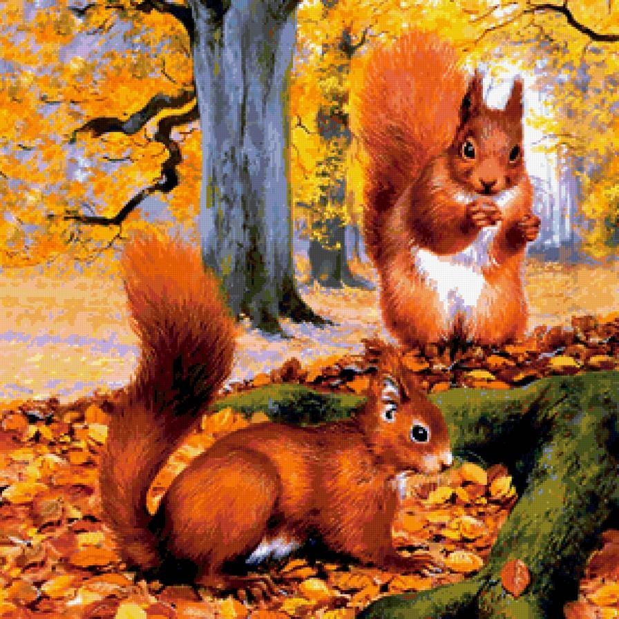 Домашние и Дикие животные для детей