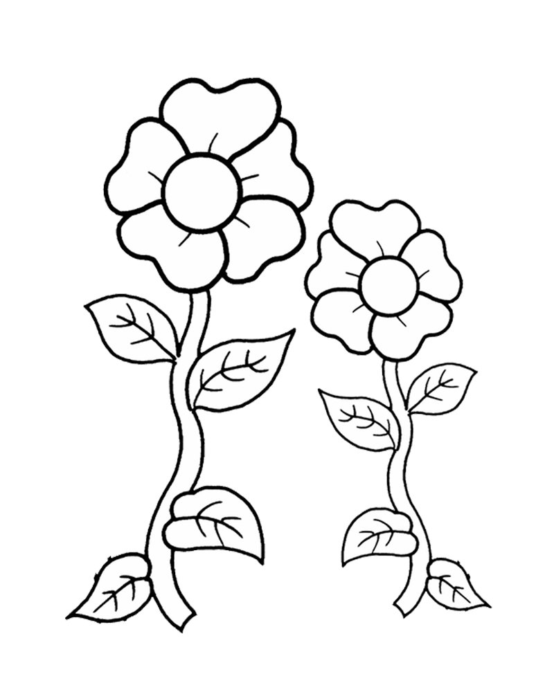 Раскраска цветочек