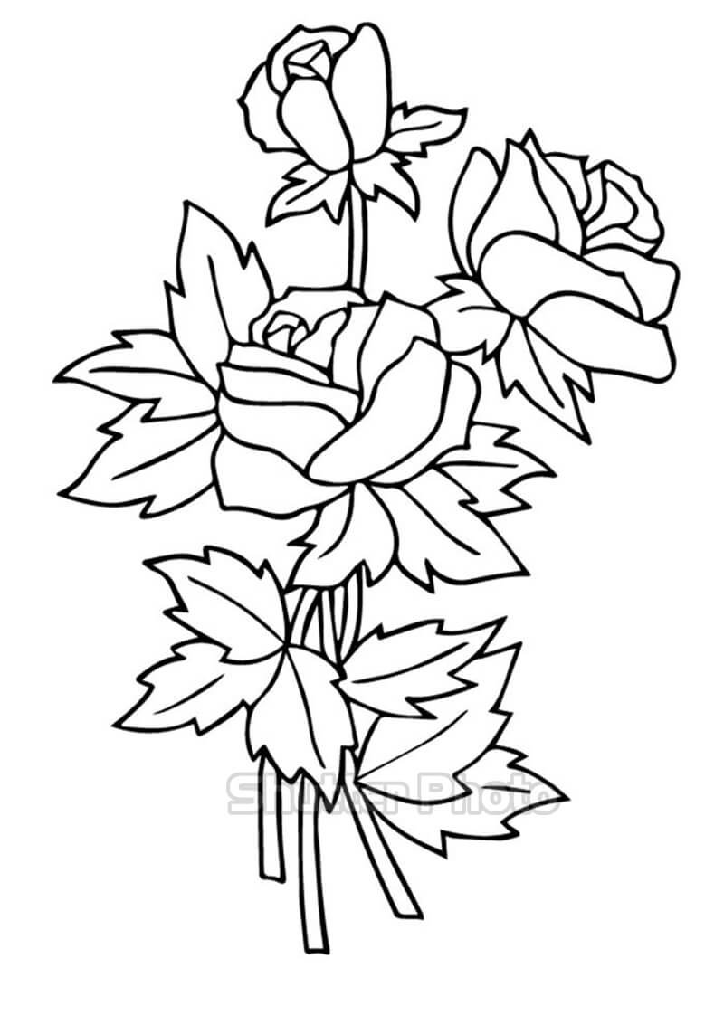 Ромашка раскраска