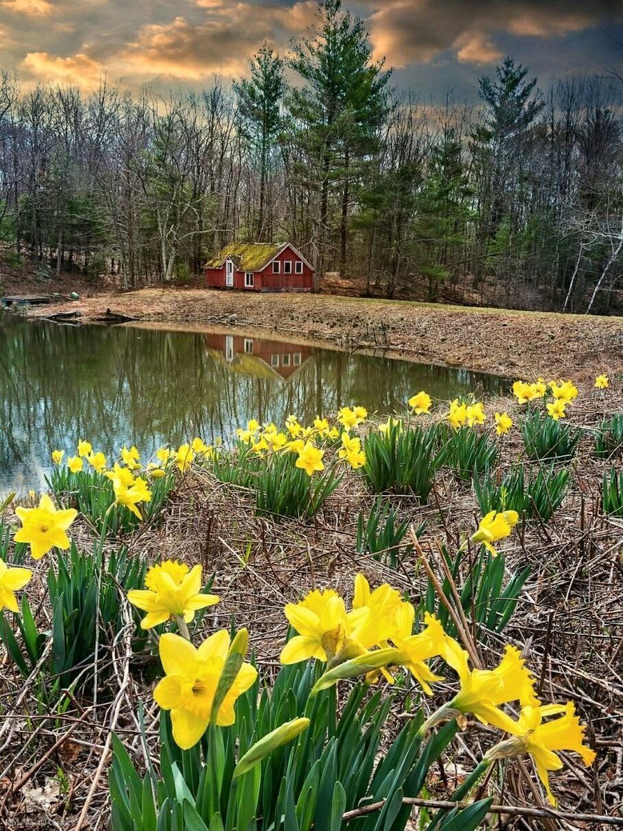 Красота весны