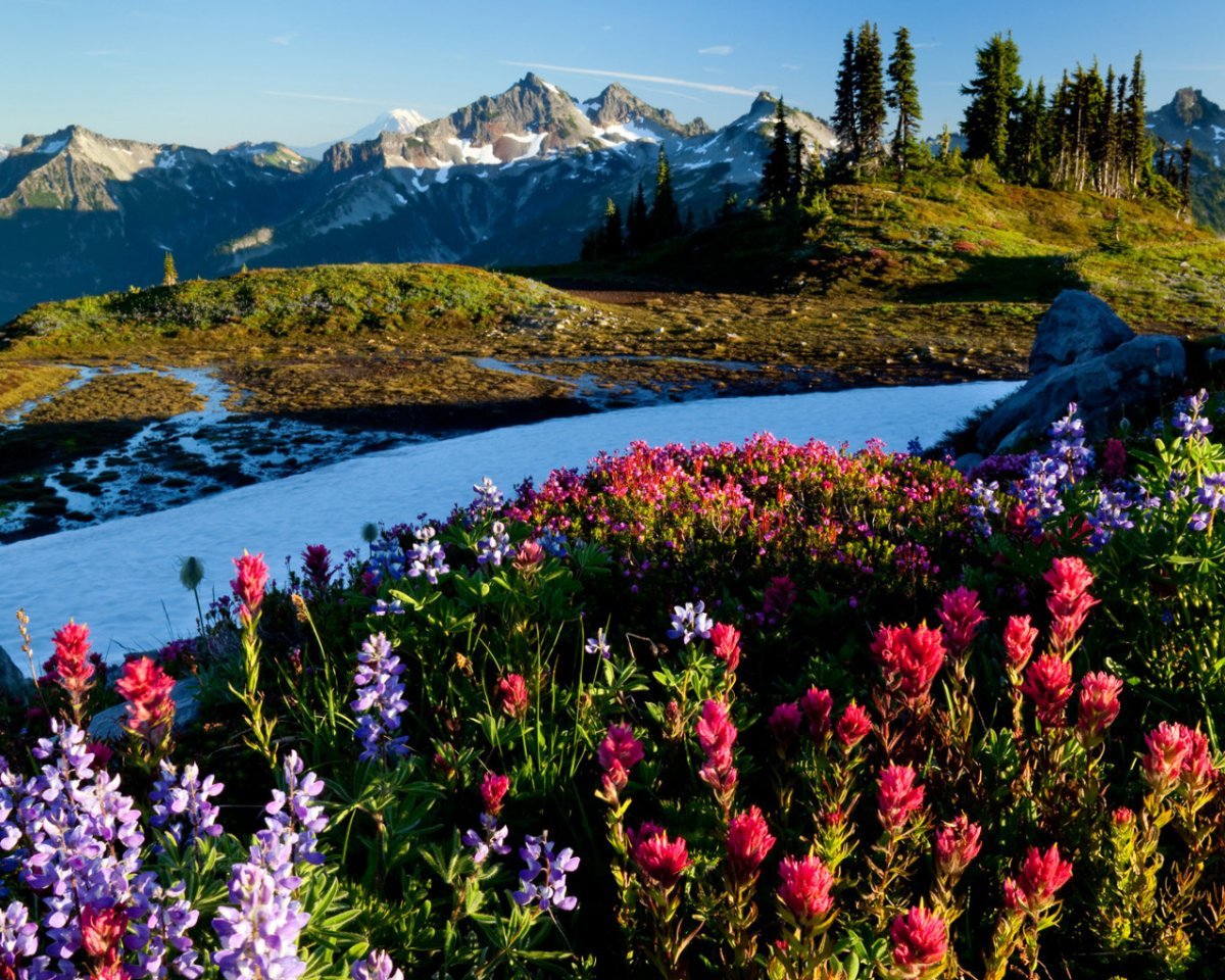 Пейзажи природы