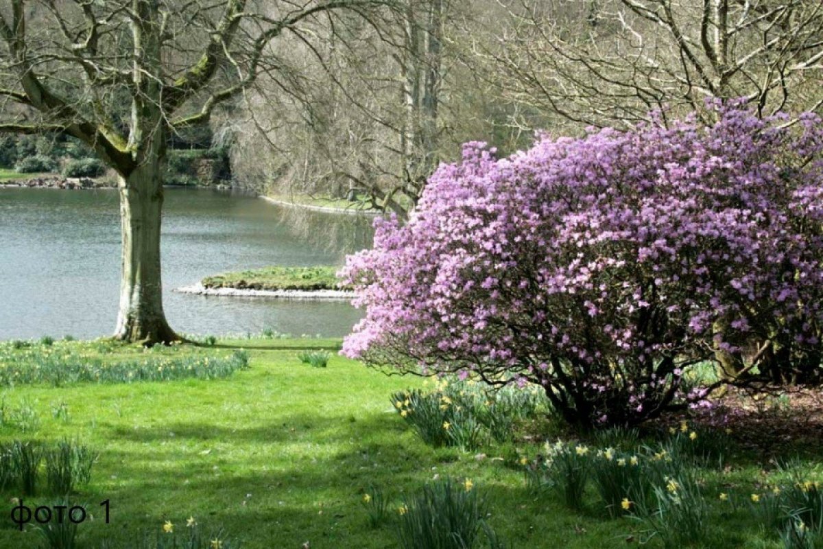 Поздняя Весна