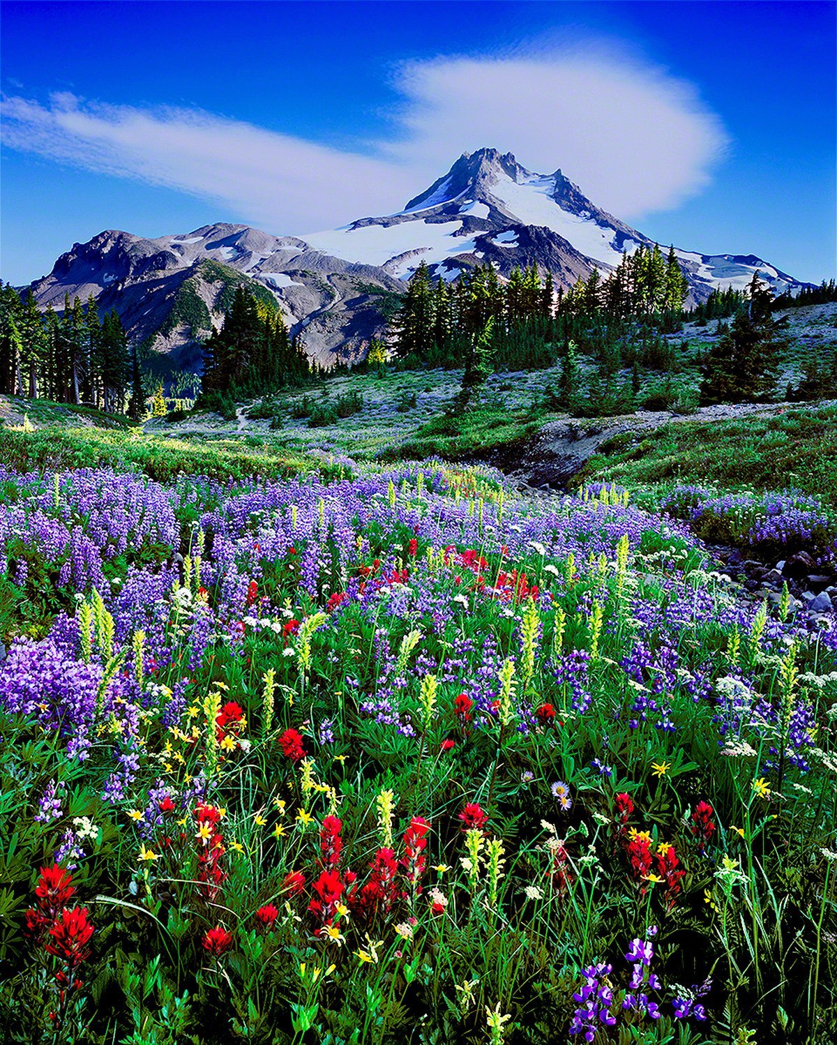 Красивый пейзаж