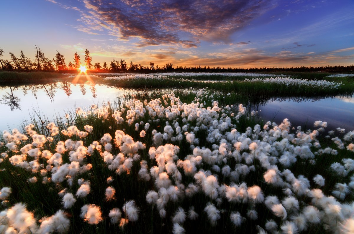 Весенний пейзаж